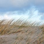 Texel - Januari 2012