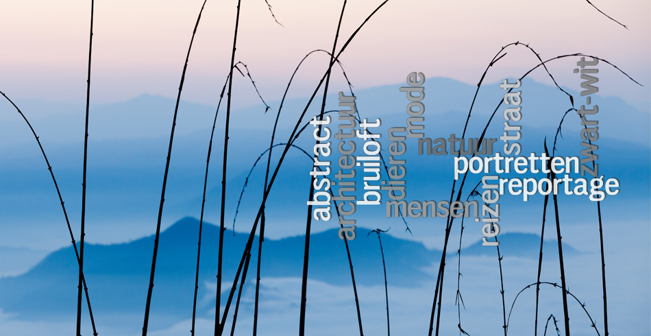 Hans Kwaspen Fotografie: slideshow photograph 4