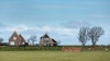 Texel - rustiek en rustig landschap