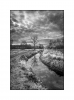 Landschap De Mortelen - Oirschot