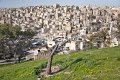Jerash