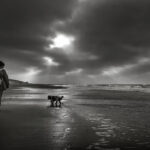 Texel 2020 in zwarwit