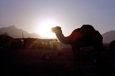 foto04.jpg