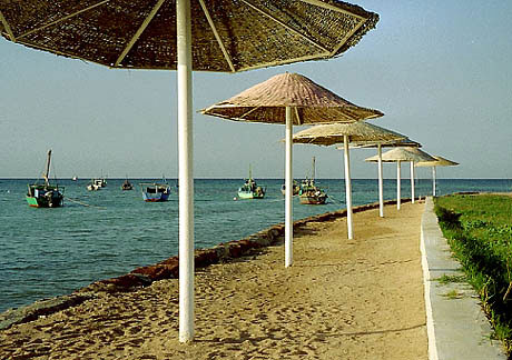 foto13.jpg
