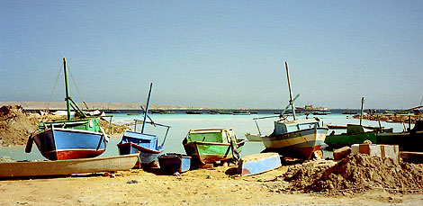 foto14.jpg