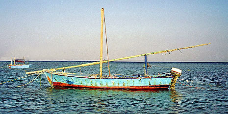 foto16.jpg