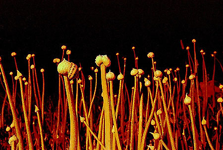 foto06.jpg