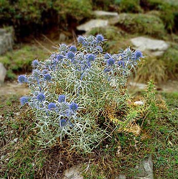 foto07.jpg