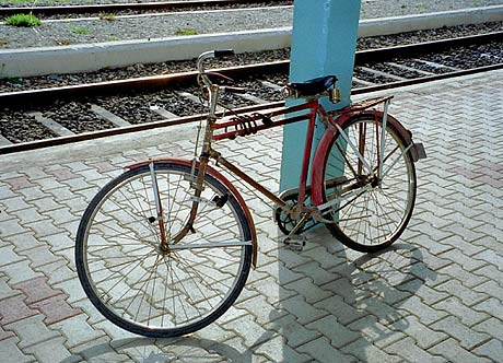 foto15.jpg