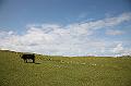 IMG_0054
