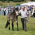 IMG_0260