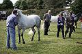 IMG_0280