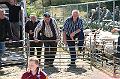 IMG_0322