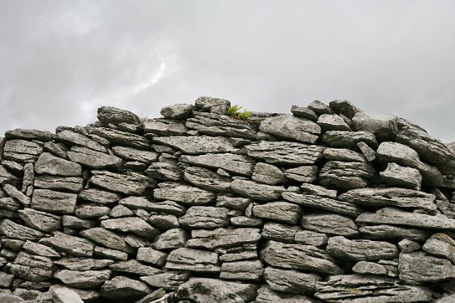 IMG_0561.jpg