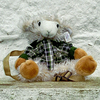 foto17.jpg