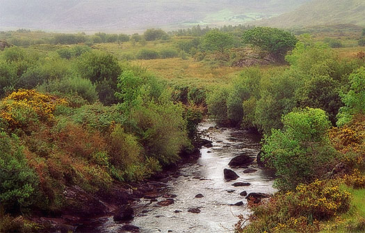 foto22.jpg