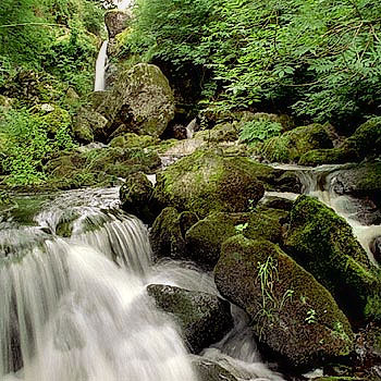 foto23.jpg