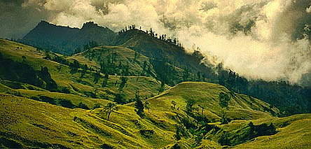 foto02.jpg