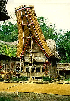 foto03.jpg
