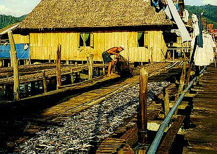 foto19.jpg