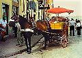 foto09