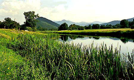 foto17.jpg