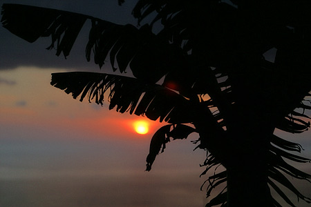 foto01.jpg