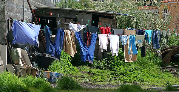 lapalma_c_waslijn.jpg
