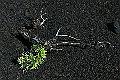 foto04