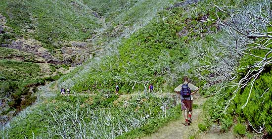 foto03.jpg