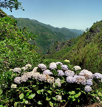 foto04.jpg