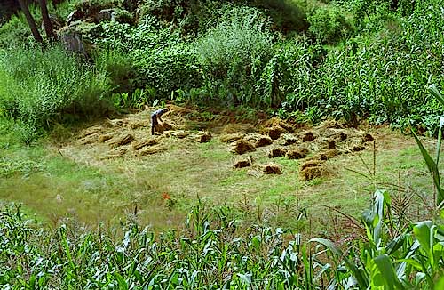 foto05.jpg