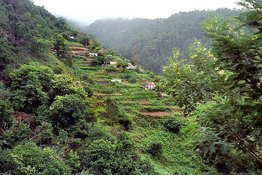foto06.jpg