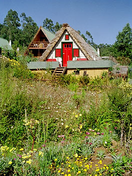 foto11.jpg