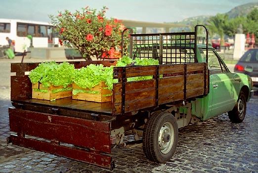 foto13.jpg