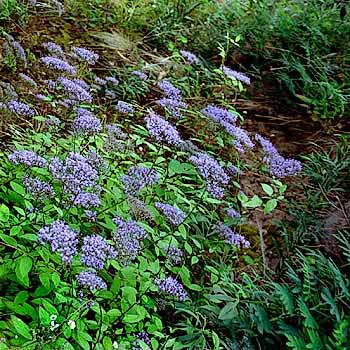 foto15.jpg