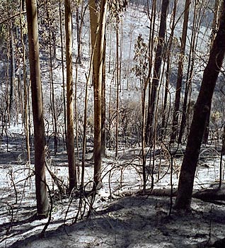 foto16.jpg