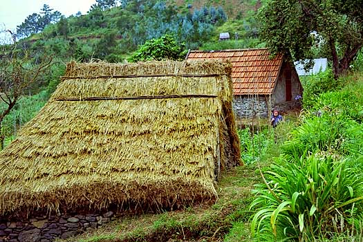 foto21.jpg