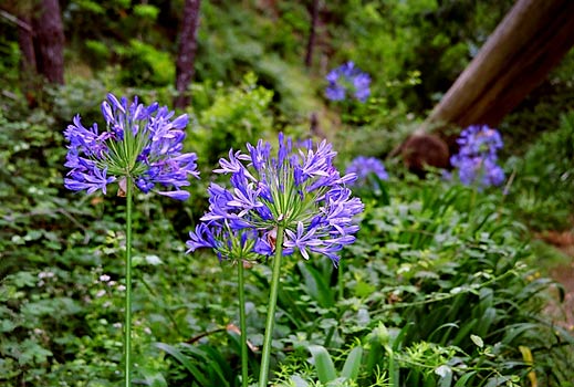 foto23.jpg