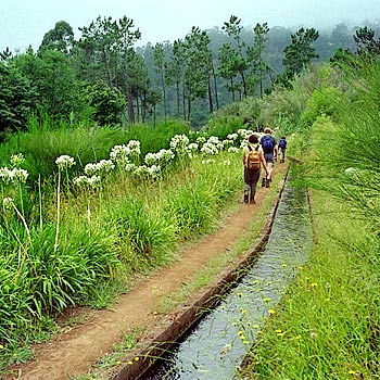 foto24.jpg