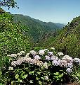 foto04