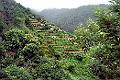 foto06