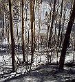 foto16