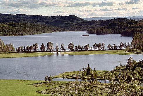 foto02.jpg