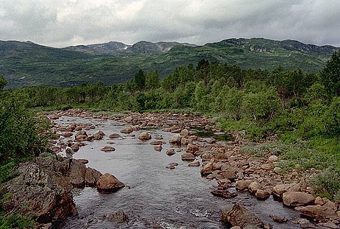 foto04.jpg