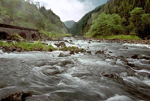 foto16.jpg