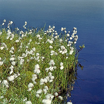 foto21.jpg