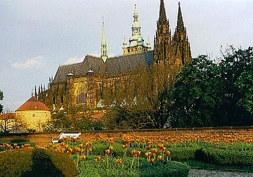 foto08.jpg