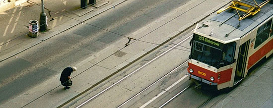 foto14.jpg