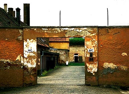 foto17.jpg